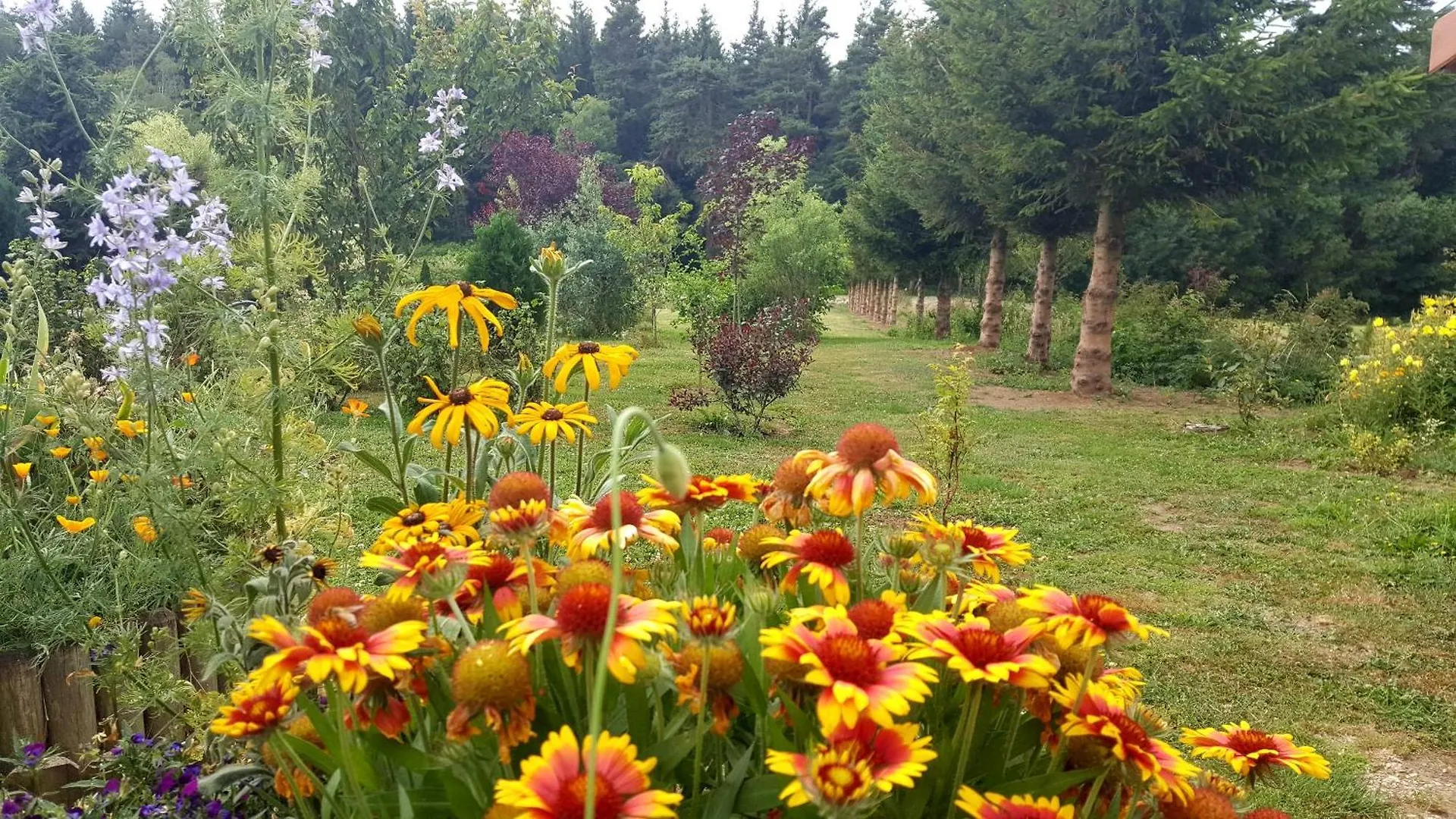 Bed & Breakfast La Croisee Des Fleurs Lapte