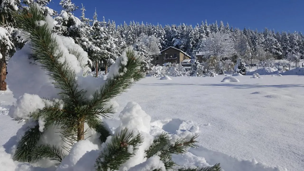 La Croisee Des Fleurs Lapte